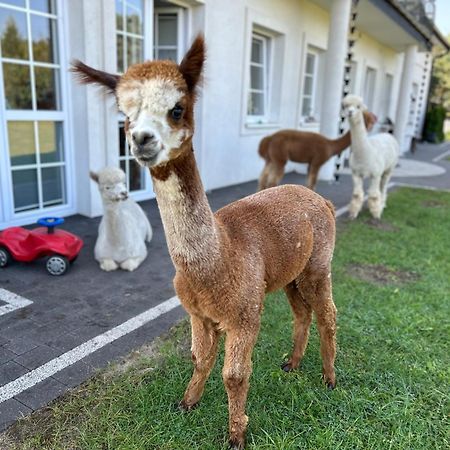 Apartamenty Gora Wejherowo Exteriör bild